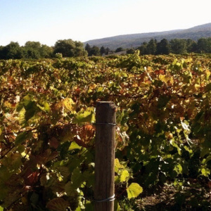 Saguenay Agricultural Development 2