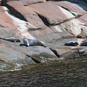 The Saguenay Fjord Region 3